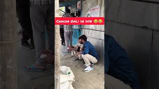 Uncle Gali de diye 😂😂 #shorts #short #funny #comedy #viralvideo #prank #youtubeshorts