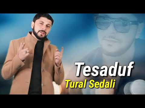 Tural Sedali - Təsadüf 2024 (Resmi Musiqi)