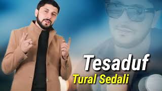 Tural Sedali - Təsadüf 2024 (Resmi Musiqi)