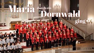 Maria durch ein Dornwald ging – Mädchenchor Hamburg (Hamburg Girl's Choir)