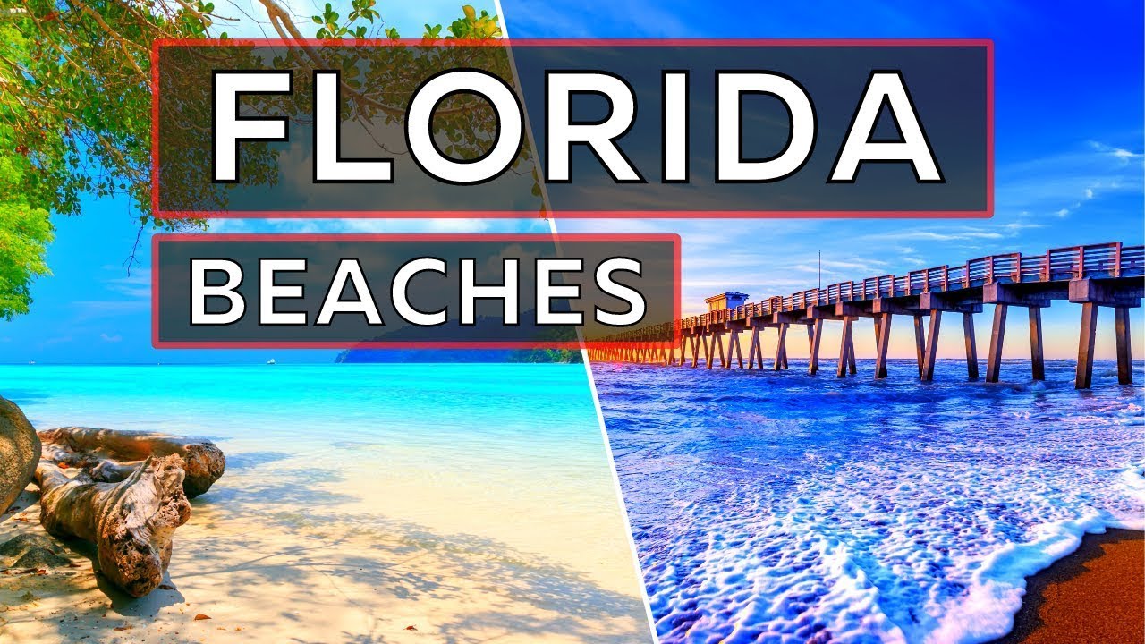 The Best Family Beaches in Florida: A Sunshine State Paradise