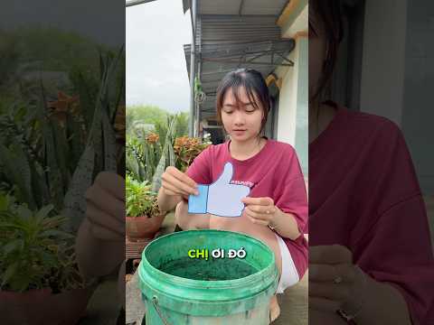 Cô ấy đã phá hỏng nút like #funny #haihuoc #shorts