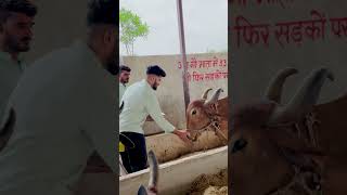 Bolo har har Mahadev #pawansahu #hindumantra #naturalbodybilding