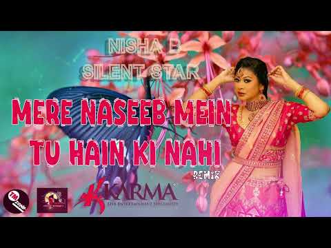 Nisha B & Silent Star - Mere Naseeb Mein Tu Hain Ki Nahi - Bollywood Remix ( Requested )