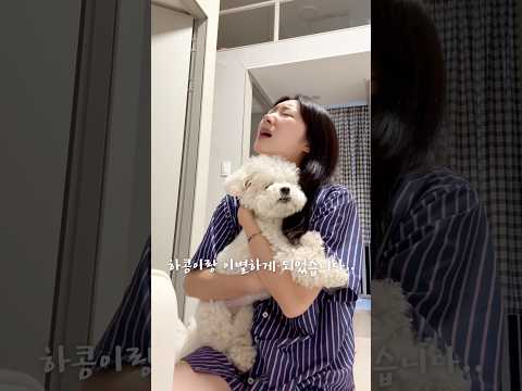 하콩이랑 이별했습니다..ㅠㅠ