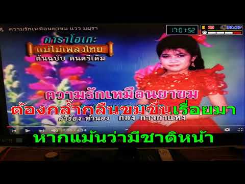 ความรักเหมือนยาขม -แวว มยุรา Cover Midi Karaoke