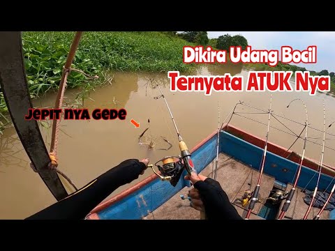 Mancing udang galah di malam hari tak sengaja nabrak jaring nelayan untung bapak nya baik hati