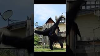 Can you do FLIPS with SWORD on your back like WITCHER!?