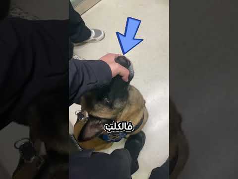 الشرطي أنقذها من فواتير المستشفى