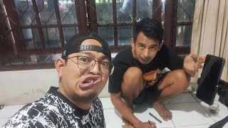 edisi cuci gudang semua jenis burung obral habis-habisan siapa cepat dia dapat