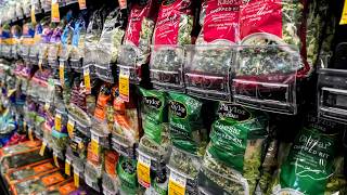 YouTube video thumbnail: Fmr. FDA, CDC Official on Cyclospora, Food Safety Issues