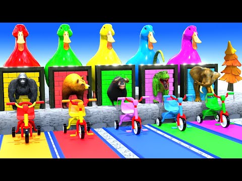 Long Slide Game with Cow Elephant Gorilla Hippopotamus Tiger 3d Animal Game Funny 3d Animals
