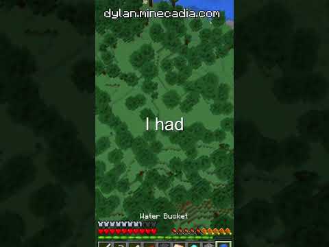I Got Trolled On My SMP