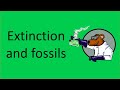 Extinction and Fossil Evidence Concepts