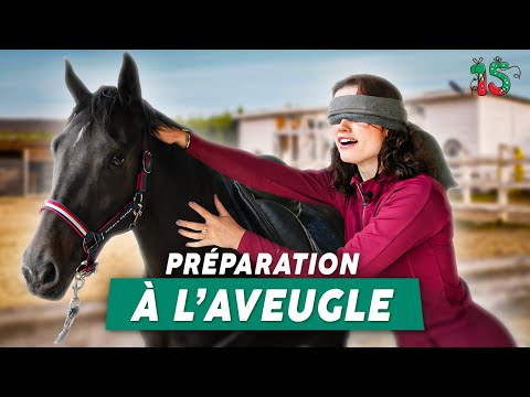 JE PRÉPARE MA JUMENT SANS RIEN VOIR... #challenge #cheval