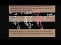 Estimation in Division Problems