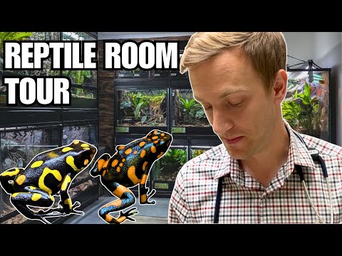 Rare Reptile Room Tour | Dr. Alec's Sad News