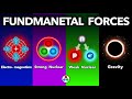 Fundamental Forces of Nature
