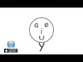 Understanding Vowel and Consonant Patterns