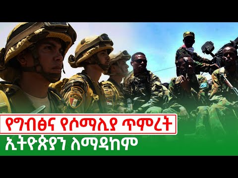 የግብጽ እና የሶማሊያ ጥምረት ኢትዮጵያን ለማዳከም ነው Egypt and Somalia unity|Ethiopia news || Ethiopian kings of Abbay