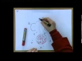 Evolutionary Biology Concepts and Evidence