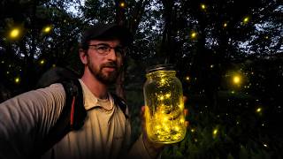 Camping, Fishing & Hunting Rare Species of Fireflies in the Appalachians
