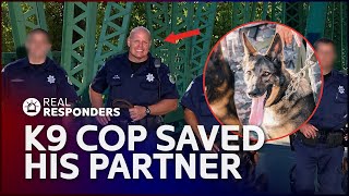 This Brave Police Dog Took a Bullet For Me