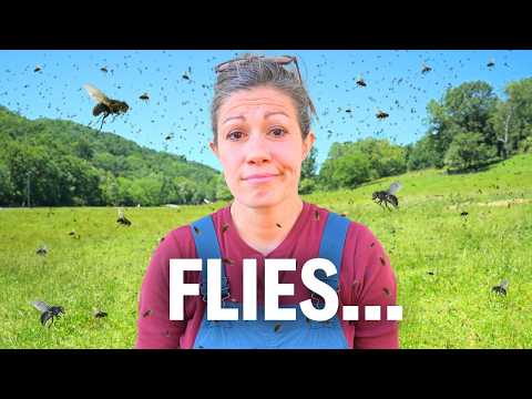 Worst Fly Season EVER! 😩 | A Farm Expert Reveals His Secrets ✅