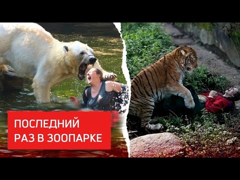 Питомцы Которые Полакомились Посетителями Зоо