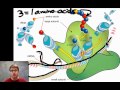 Exploring Key Concepts in Genetics