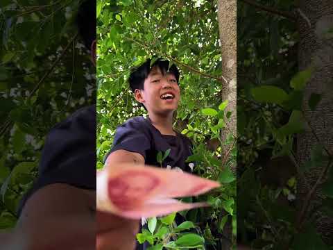 Chơi trò chơi trốn tìm và những pha không thể ngờ tới #shorts