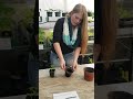 Plant Potting Techniques and Best Practices