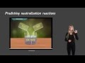 Neutralization Reactions and Products