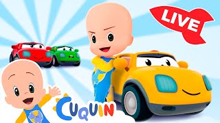 🔴DIRECTO🔴 Aprende  colores,  números y formas con Cuquín | Videos educativos