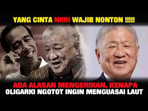 Alasan Mengerikan Kenapa Oligarki Ingin Menguasai Laut