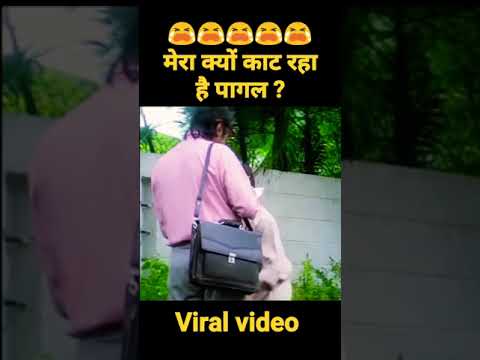 Rajpal Yadav comedy 😂मेरा क्यूँ काट दिया पागल ?😭 #shortsfeed#shortfeed #