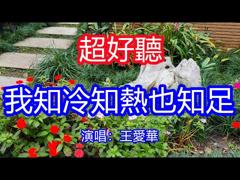 天呀！太好聽了，2月王愛華超火傷感情歌《知冷知熱也知足》，獨特的嗓音，單曲循環聽不夠！回首往事為愛全力以赴，遍體鱗傷才終於醒悟！唱的撕心裂肺，聽得痛哭流涕！廣州風景！傷感情歌！療癒情歌！