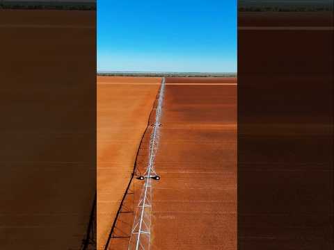 Farming in Brazil Is a Billion-Dollar Industry! 🚜🌾 | Mega Farms Explained #shorts