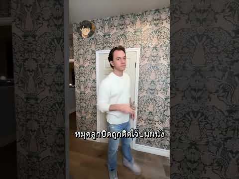 ชายคนนี้สร้างประตูหลอกโจรได้เนียนสุดในโลก #ไวรัล #shorts #คลายเครียด