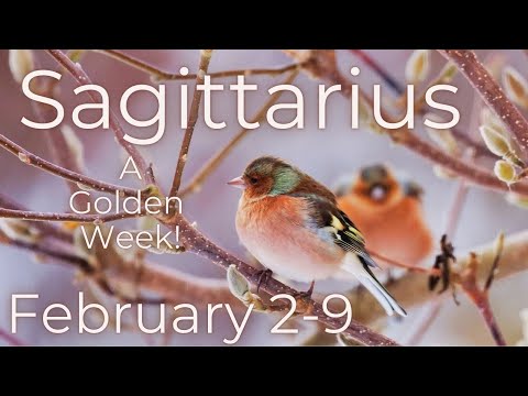 Sagittarius, Divinely Blessed // February 2-9 2025 Weekly Tarot