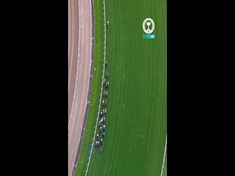 Incredible skill and bravery from Jamie Melham