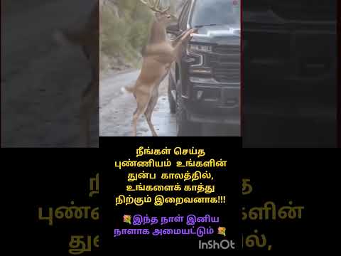 🌟இந்த நாள் இனிய நாளாக அமையட்டும் 🌟