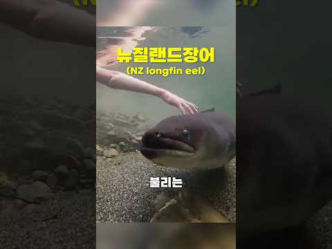 너네는 우리나라에서 안 태어난 걸 다행으로 여기렴