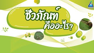 ชีวภัณฑ์คืออะไร I TAB Innovation