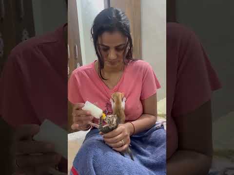 Raat mai chun mun 👶🏻 ki aawaz aa rahi thi mummy 👩 ne dudh 🥛 pilaya