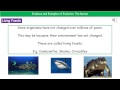 Antibiotic Resistance and Evolution Concepts