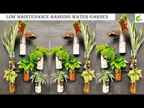 Easy, Eco-friendly Water Garden: Low Maintenance Water Garden Tutorial/Water Plants/ORGANIC GARDEN