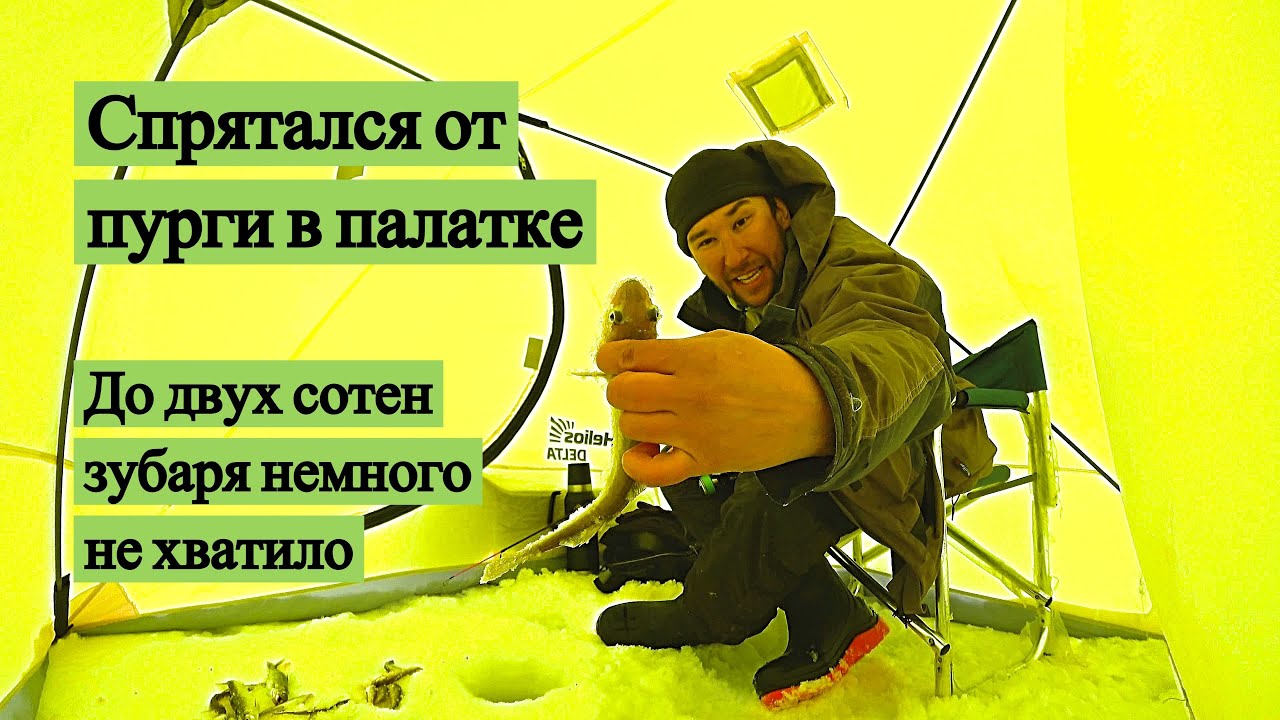 Спрятался от пурги в палатке. До двух сотен зубаря немного не хватило. Охотское море!
