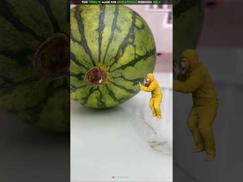 Monkey Food Big Watermelon🍉🐒| New Viral Gadgets, Smart Appliances, Kitchen Utensils/ Home Inventions