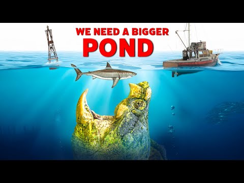 Huge Alligator Snapping Turtle Rescue Presents Major Challenge at Garden State Tortoise! + more